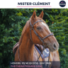 Gelding Thoroughbred For sale 2018 Liver chestnut