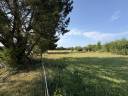 Luxurious equestrian property  Loire-Atlantique
