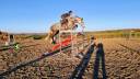 Broodmare Zangersheide For sale 2014 Grey