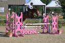 Gelding Selle Fran&ccedil;ais For sale 2020 Chesnut
