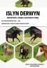 Colt Origin Recorded For sale 2026 Chesnut