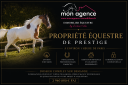 Stud farm  Paris