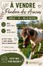 Mare Origin Recorded For sale 2025 Coloured