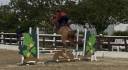 Mare French Saddle Pony For sale 2021 Chesnut