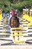 Mare French Saddle Pony For sale 2008 Chesnut