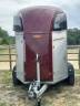 Horse trailer Bockmann Champion R 2 Stalls 2019 Used