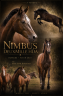 Gelding Welsh Part Bred For sale 2023 Black