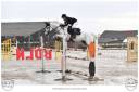 Stallion French Saddle Pony For sale 2017 Grey