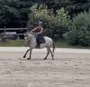 Mare No Origin Recorded For sale 2022 Grey