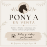 Mare Other Pony Breed For sale 2014 White