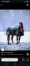 Gelding Franche-Montagne For sale 2021 Bay