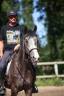 Gelding Thoroughbred For sale 2021 Grey