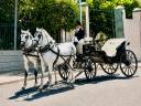 Carriage - Cal&egrave;che - Other brand - JHN Calesa Andaluz 