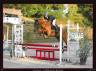 Filly Origin Recorded For sale 2022 Chesnut