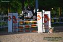 Gelding French Saddle Pony For sale 2008 Tobiano