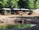 Riding school  Vosges