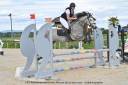 Gelding Connemara For sale 2022 Grey