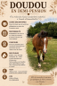 Gelding No Origin Recorded Part-Livery 2012 Bay