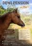 Mare New Forest Part-Livery 2022 Chesnut