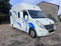Horsebox HGV Renault Master Proteo 2010 Used