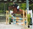 Mare French Saddle Pony For sale 2021 Bay