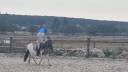 Mare Shetland Pony For sale 2023 Coloured