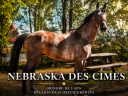 Gelding Selle Fran&ccedil;ais For sale 2023 Roan