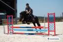 Mare M&eacute;rens For sale 2019 Black