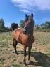 Entire No Origin Recorded For sale 2014 Bay