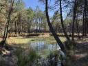 Other country property  Gironde