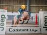Gelding French Saddle Pony For sale 2009 Bay