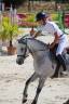 Mare Origin Recorded For sale 2020 Grey
