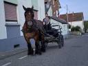 Carriage - Other carriage - Other brand -  