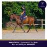 Mare Thoroughbred For sale 2022 Bay