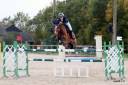 Mare French Saddle Pony For loan 2009 Bay