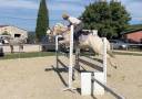 Gelding French Saddle Pony For sale 2017 Palomino