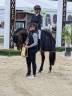 Stallion French Saddle Pony For sale 2019 Dark Bay