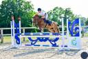 Mare French Saddle Pony For sale 2020 Chesnut