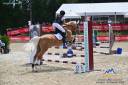 Gelding Highland  For sale 2015 Palomino