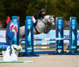 Mare French Saddle Pony For sale 2022 Grey