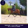 Mare AQPS For sale 2022 Bay