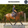 Mare AQPS For sale 2023 Bay