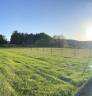 Equestrian property  Essonne