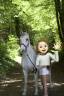 Mare French Saddle Pony For sale 2017 Grey