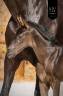 Filly KWPN Dutch Warmblood For sale 2026 Black