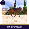Mare Thoroughbred For sale 2020 Bay