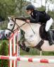 Mare Origin Recorded For sale 2015 Grey