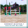 Mare Zangersheide For sale 2019 Dark Bay