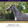 Mare Thoroughbred For sale 2017 Grey
