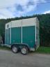 Horse trailer Ifor Williams HB401R 1,5 Stalls 2003 Used